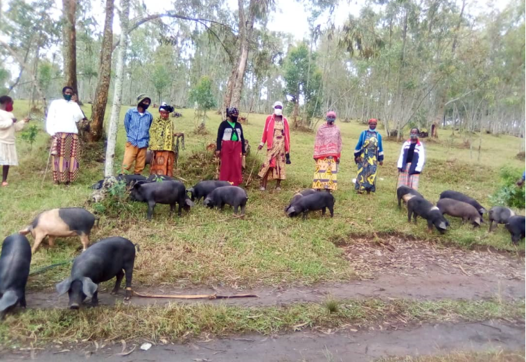 high expectations for hope family's beneficiaries who received pigs